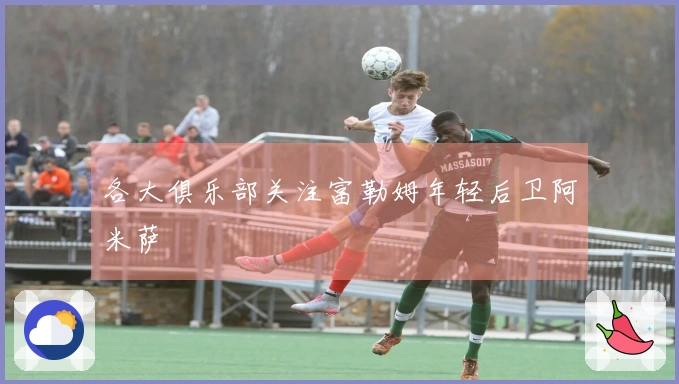 各大俱乐部关注富勒姆年轻后卫阿米萨