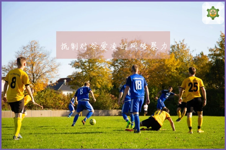 抵制对谷爱凌的网络暴力